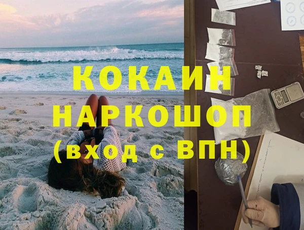 индика Верхний Тагил