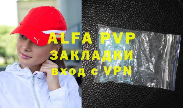 индика Волосово