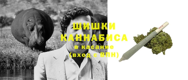 индика Волосово