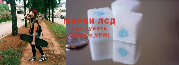 индика Волосово