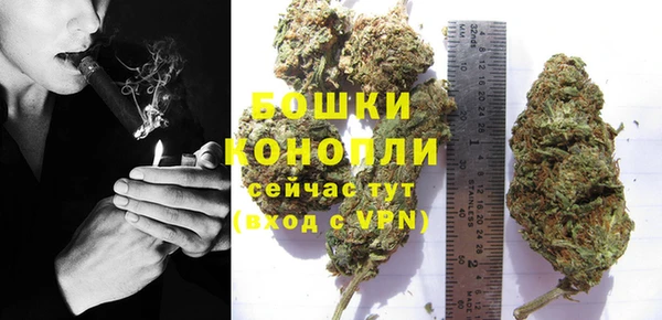 индика Волосово