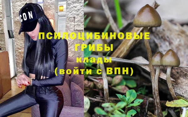 соль ск Волоколамск