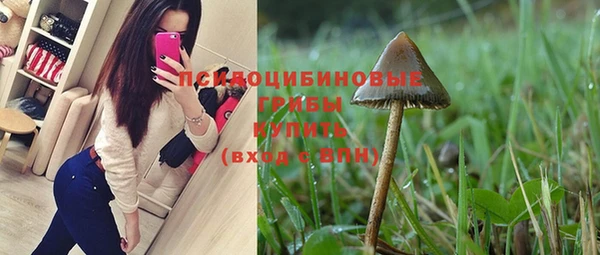 индика Волосово