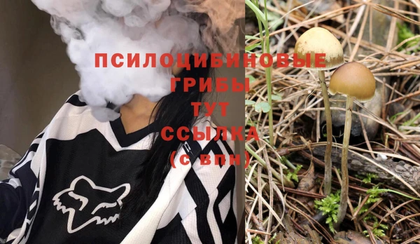 спайс Володарск